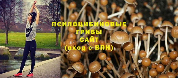 каннабис Алексин